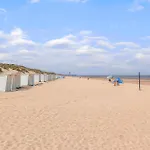 Amazing In Bredene