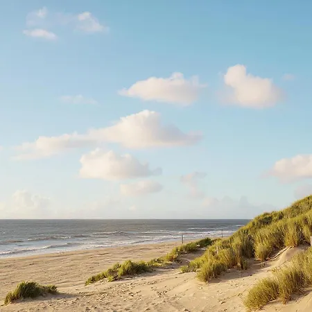 Amazing In * Bredene